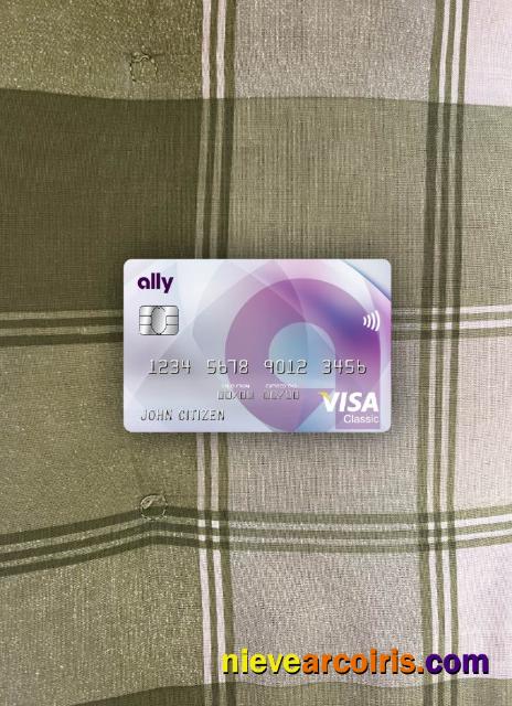 USA Ally bank visa classic card photolook